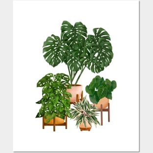 House plants collection 6 Posters and Art